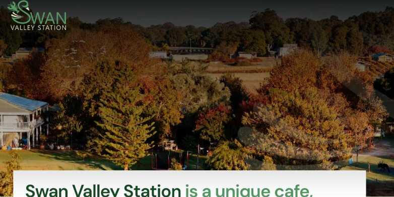 Website: copywriter & project manager